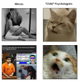 Child psychologists cat reaction to minors (minor-minor sex, science, rso, registry reform, pseudoscience, victomology)