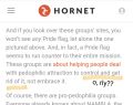 Hornet (a gay dating app) trying (and failing) to explain what MAP activism can be. Conversion Therapy irony........⇒●